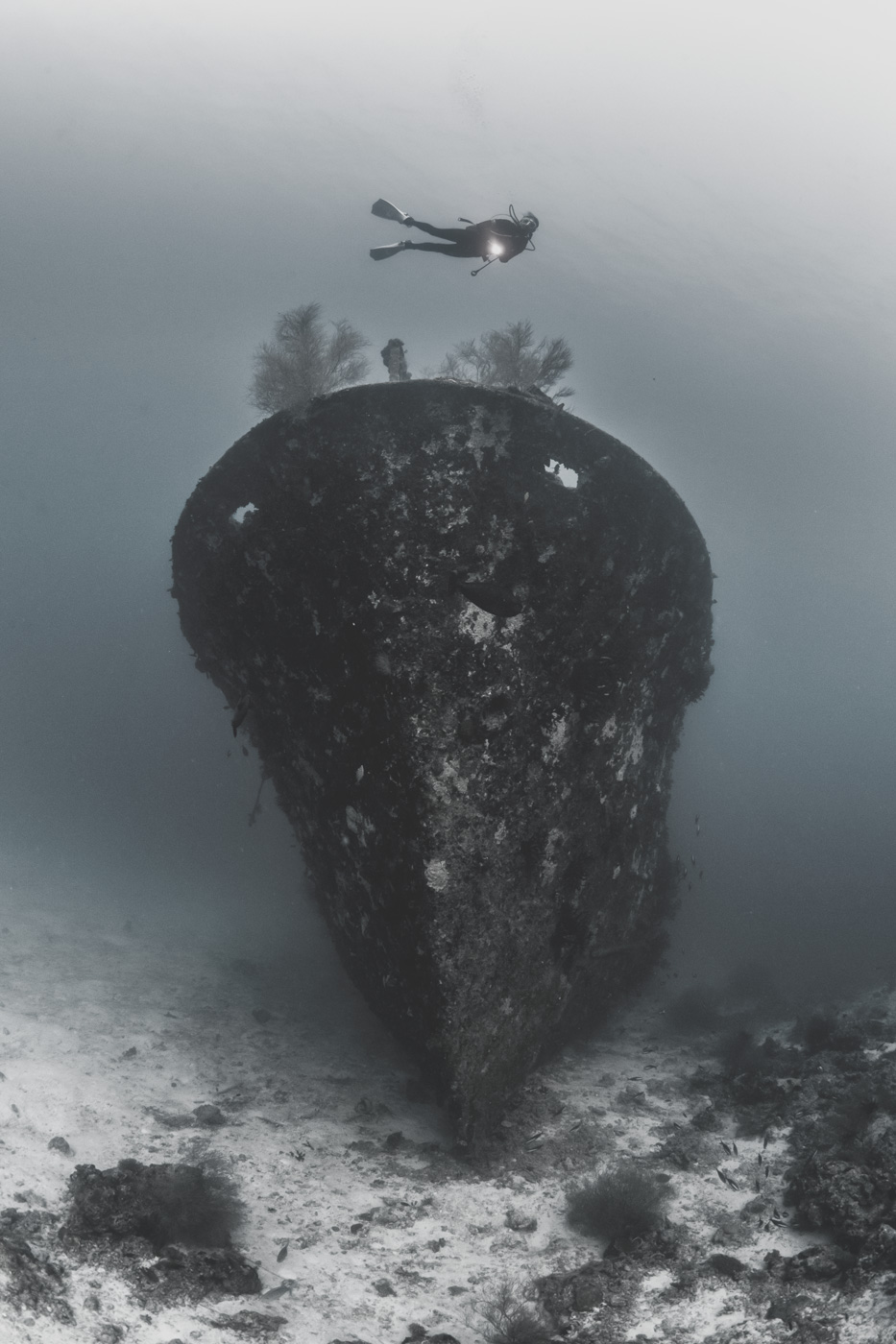 Unterwasseraufnahmen eines Schiffswracks mit Taucher