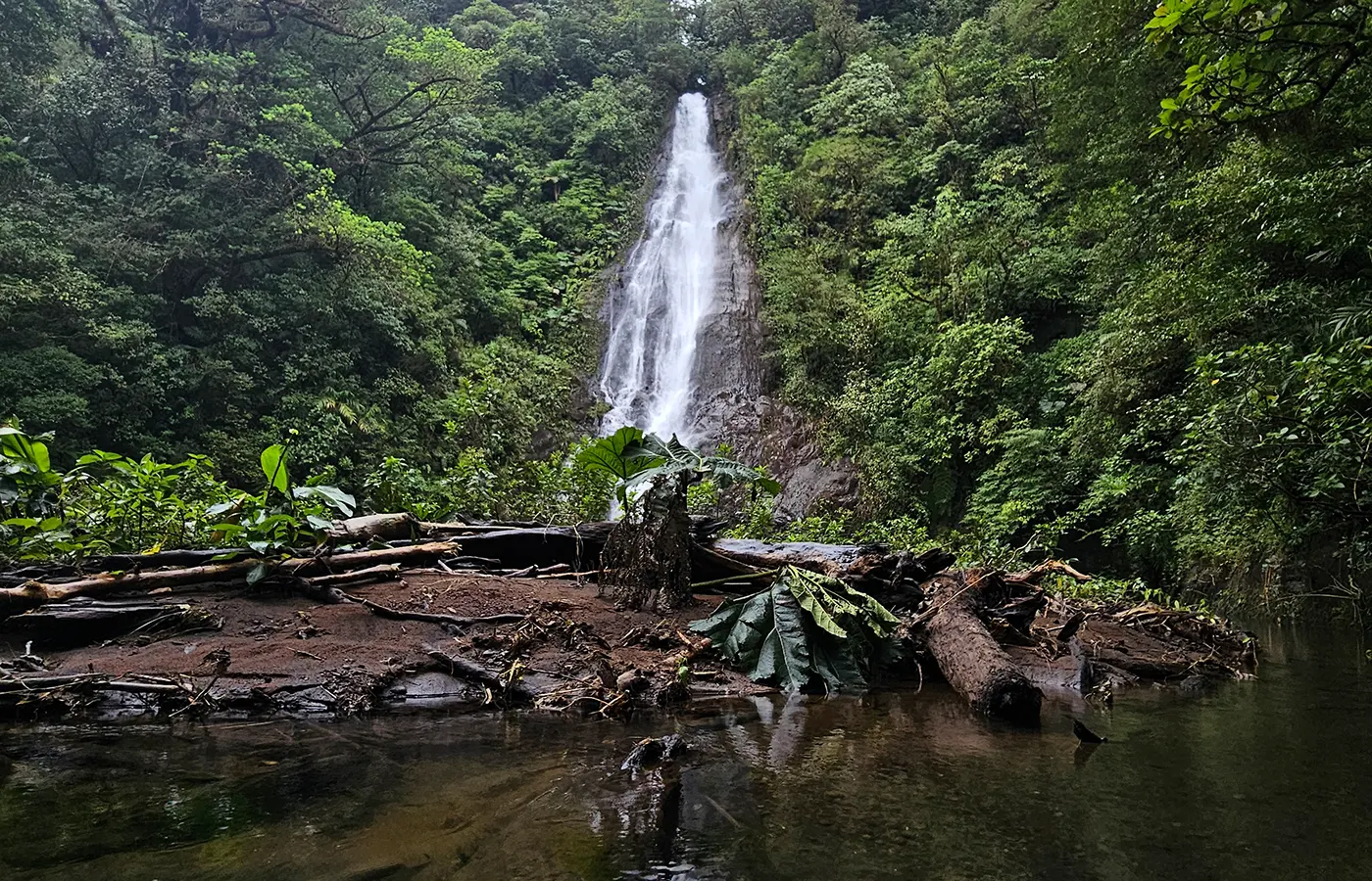 Wasserfall in einem Dschungel in Costa Rica