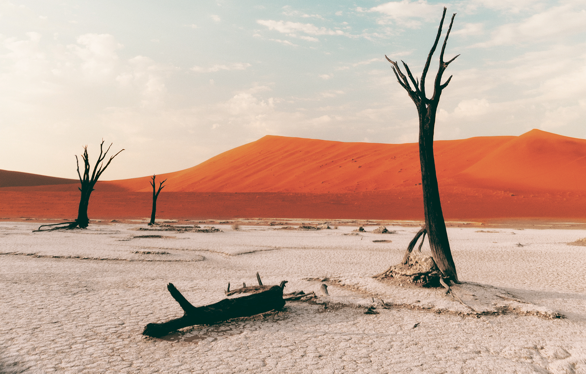 Tote Akazien im Deadvlei in Namibia