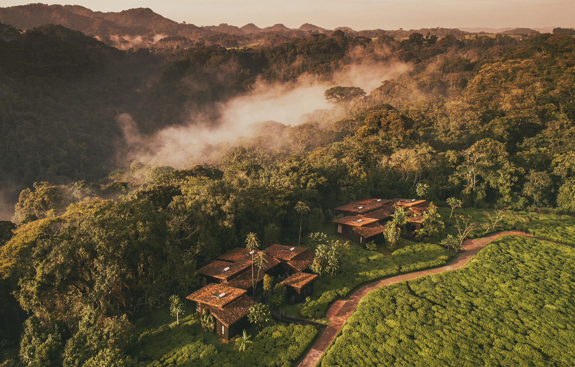 Häuser im nebelverhangenen Regenwald Ruandas