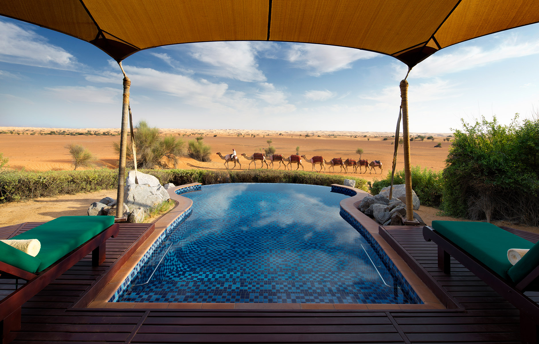 Blick in die Wüste mit Kamelen über den Pool einer Villa