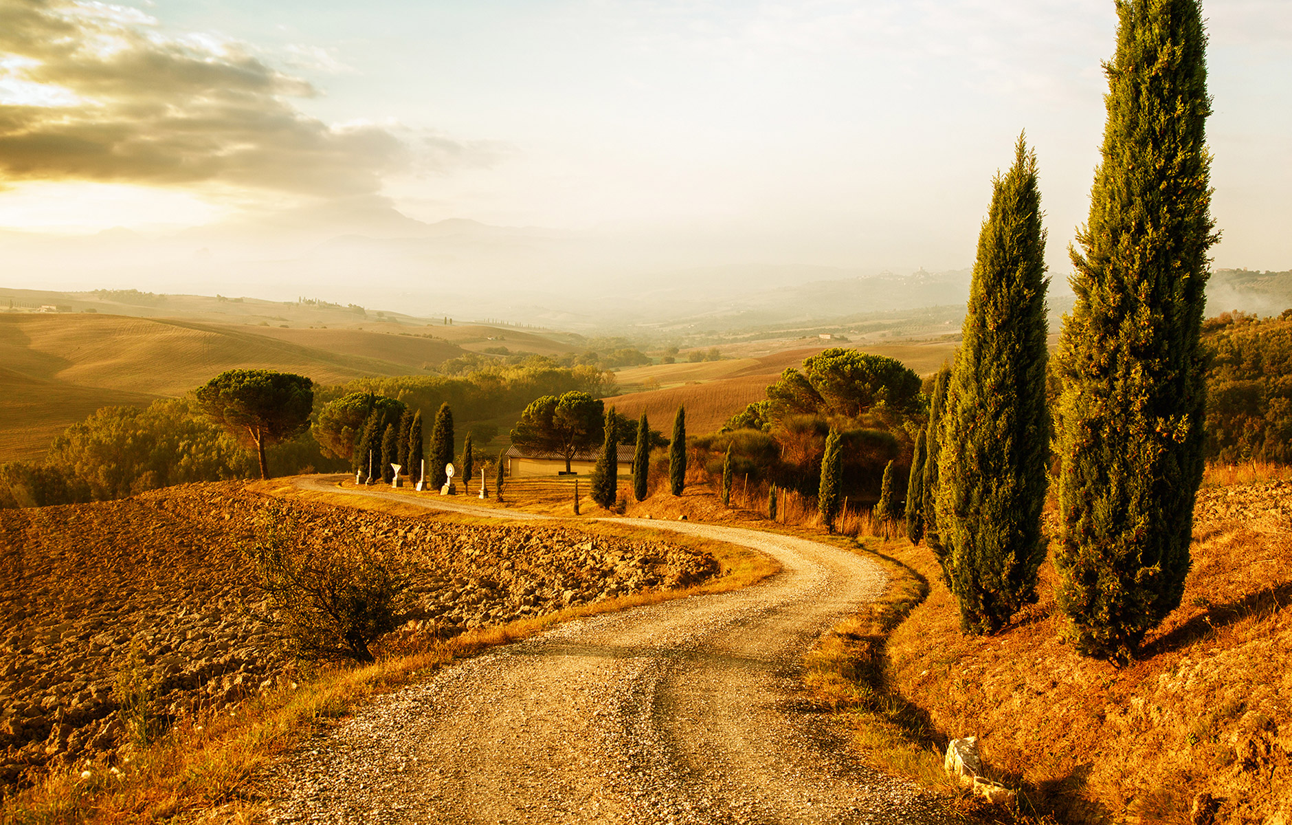 Typische Landschaft mit Zypressen in der Toskana