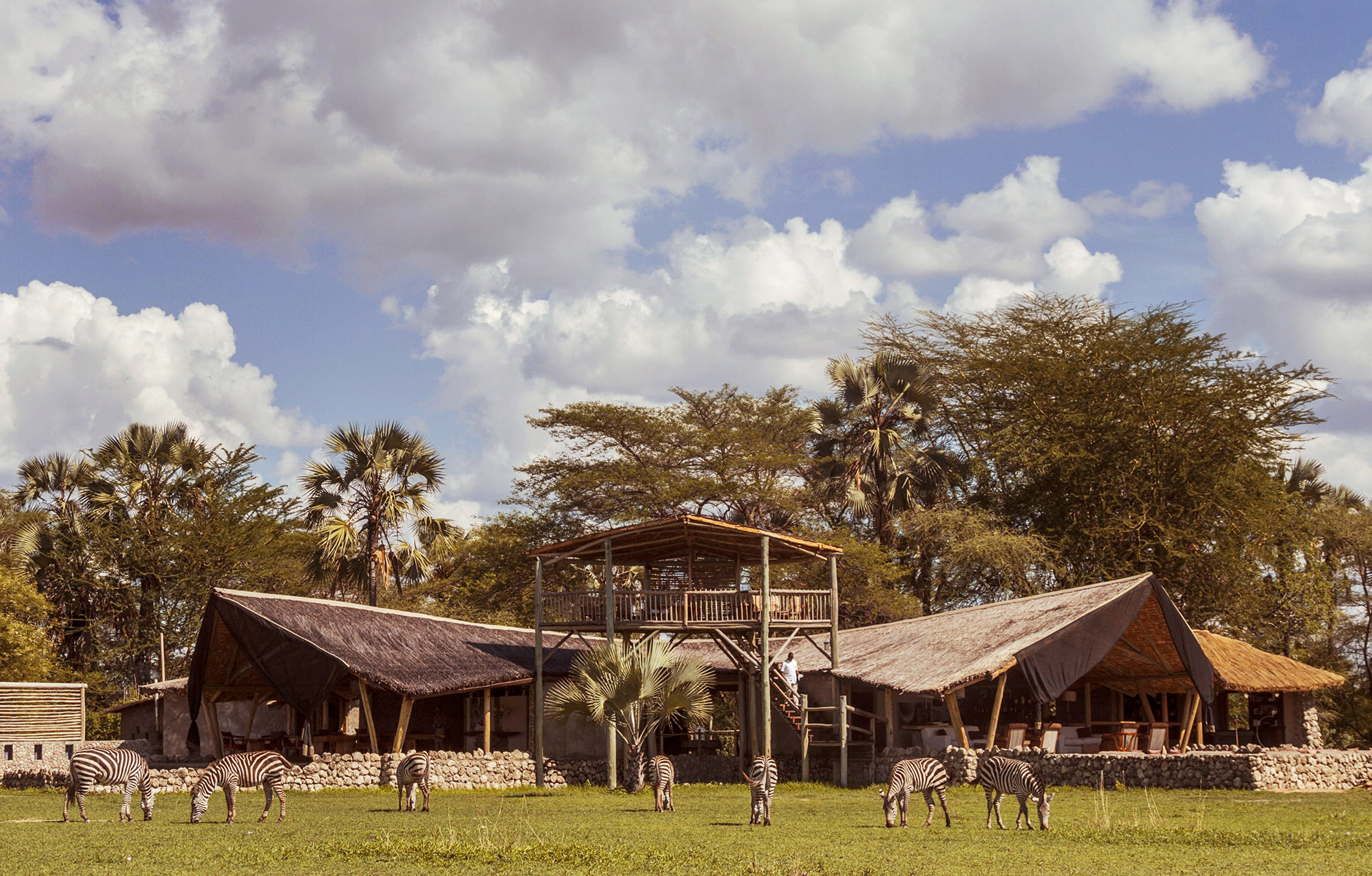 Außenansicht der Lodge mit grasenden Zebras