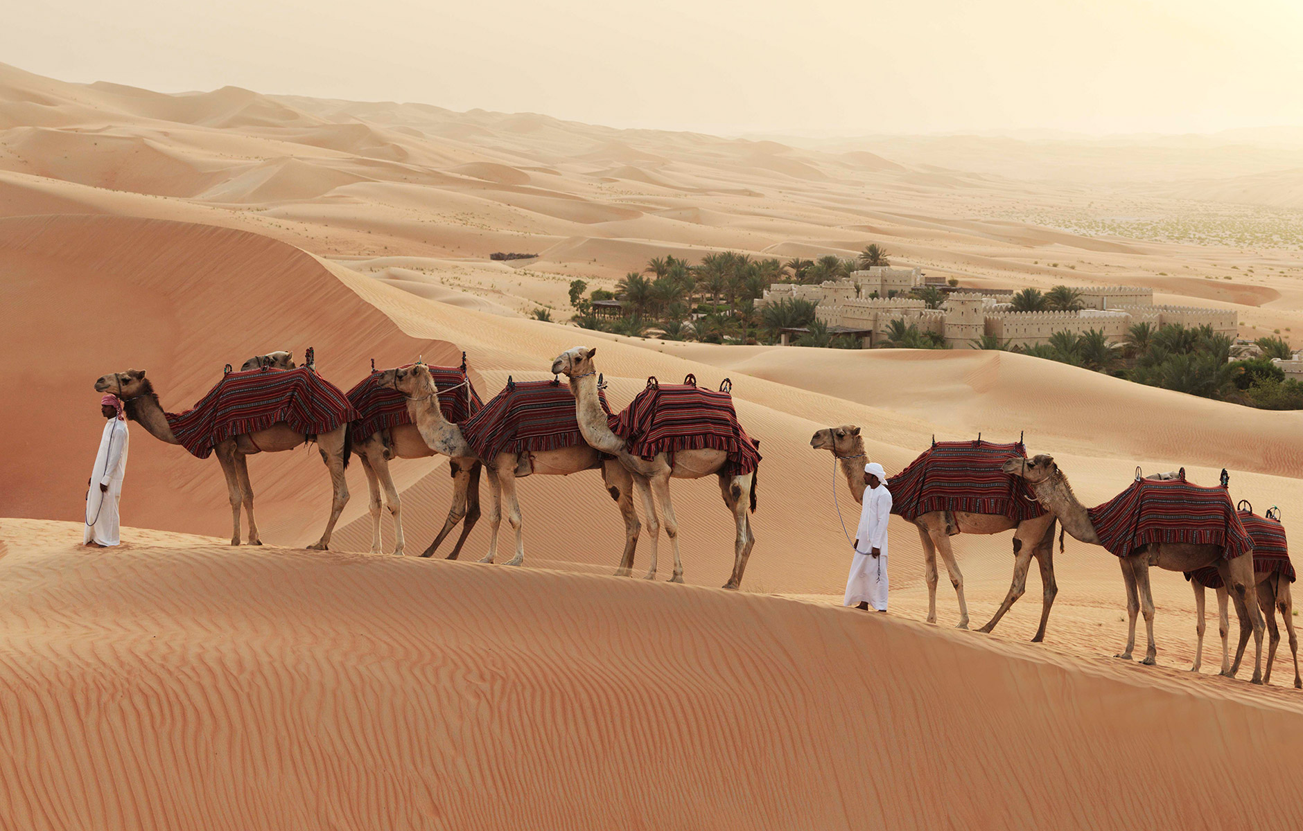 Karavane aus Kamelen vor dem Hotel in der Wüste