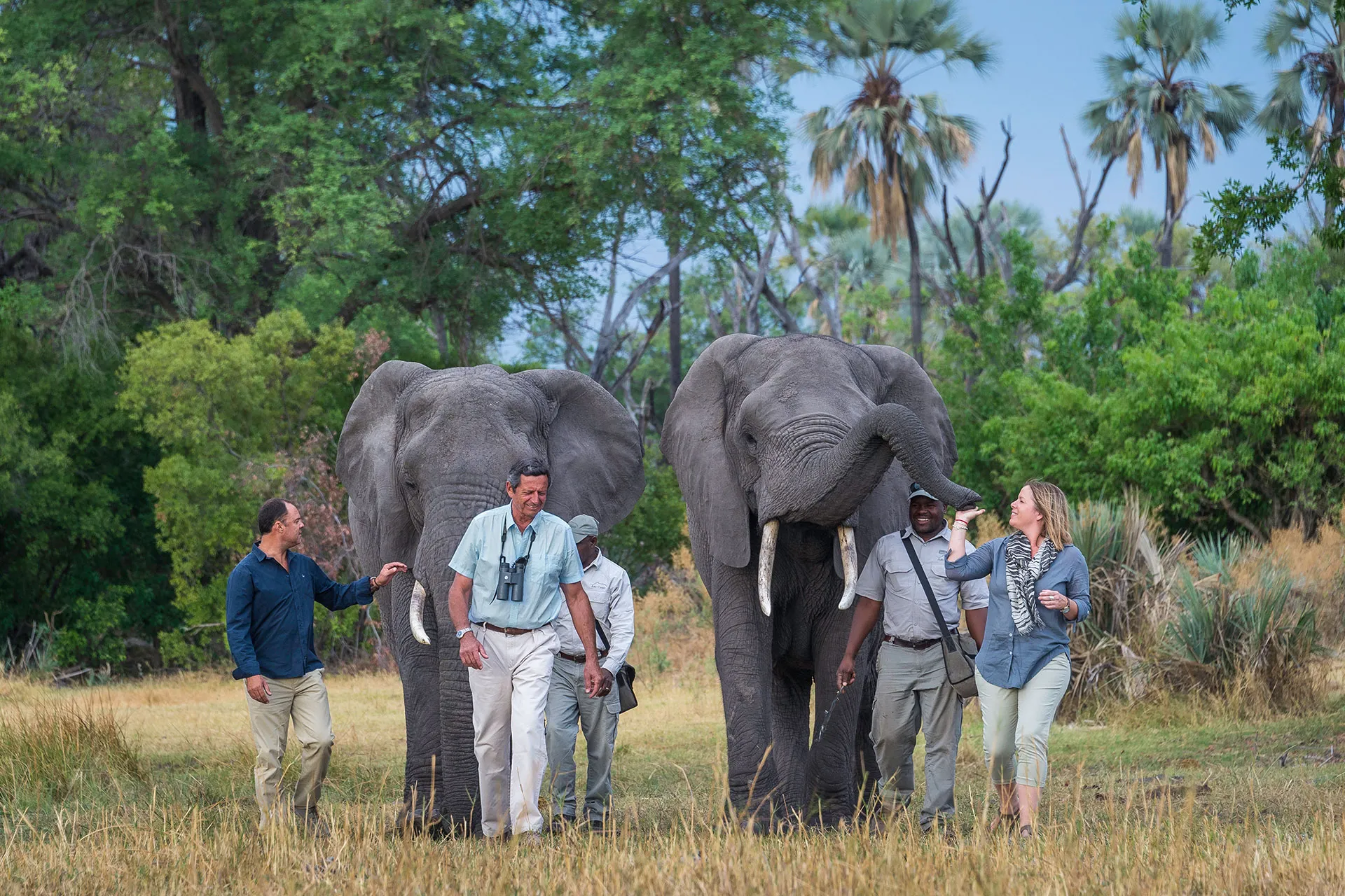 Mehrere Personen gehen mit Elefanten