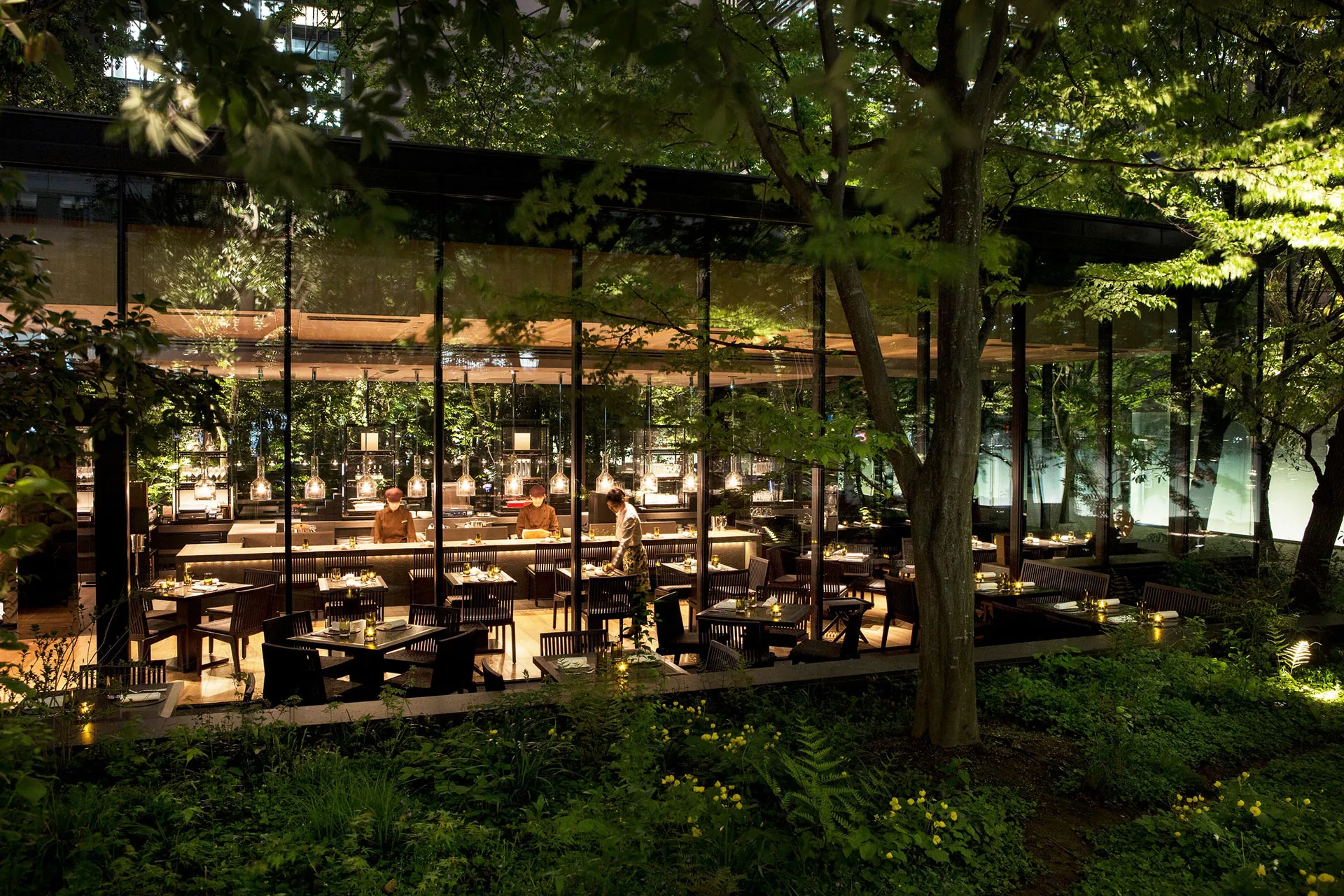 Beleuchtetes Restaurant unter grünen Bäumen