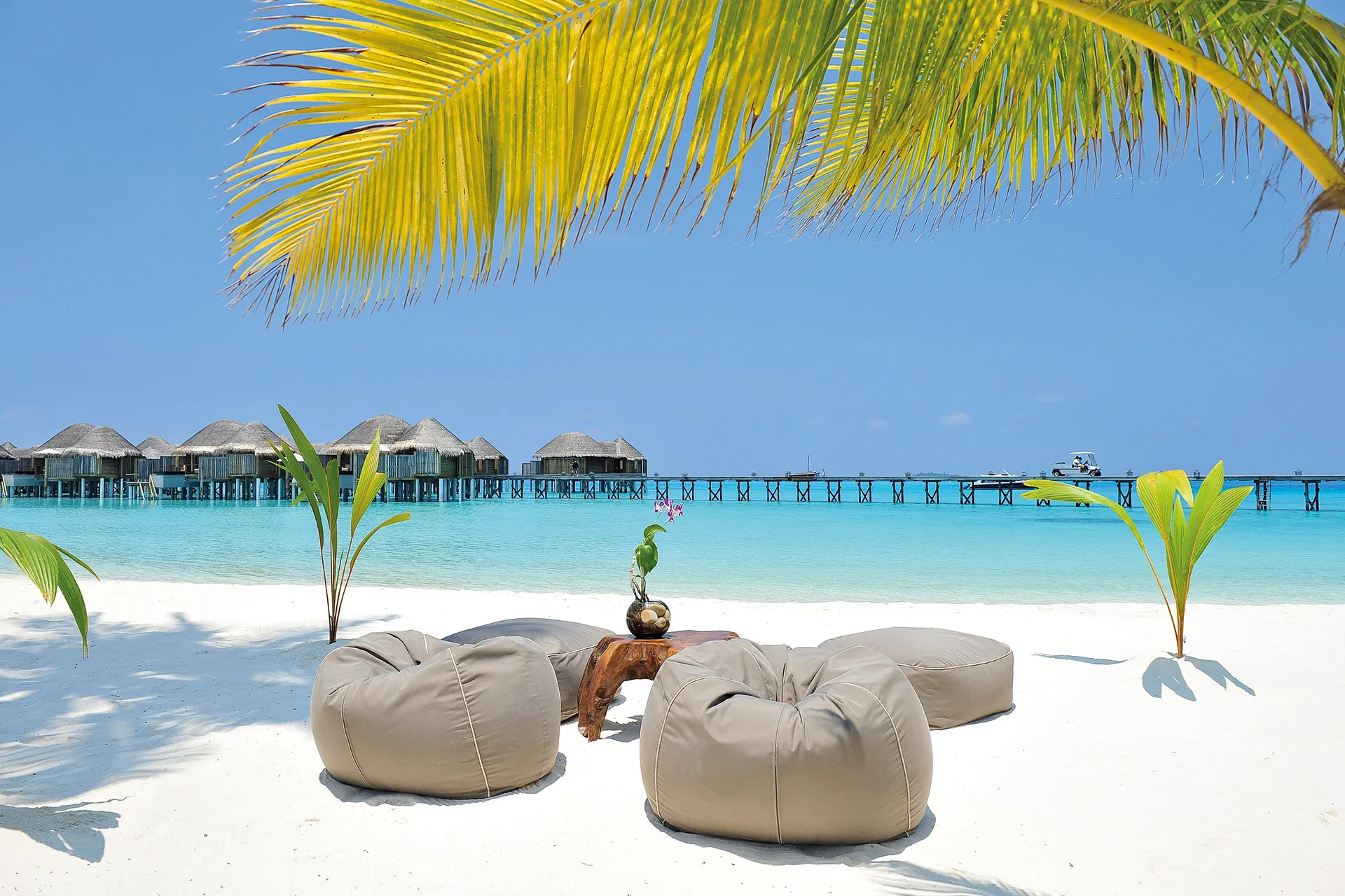 Sitzkissen am Strand unter einer Palme