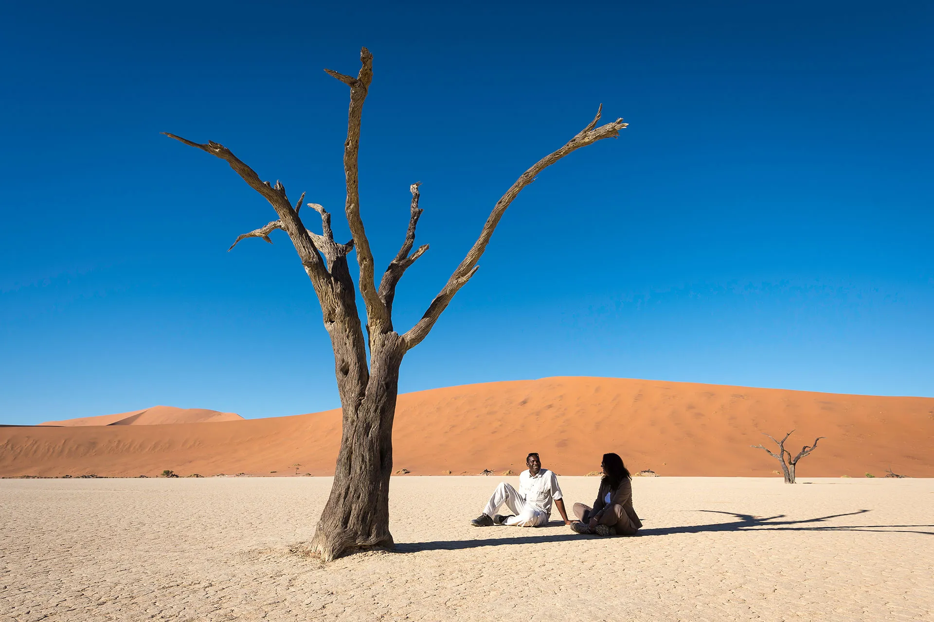 Zwei Personen sitzen vor verdörrtem Baum