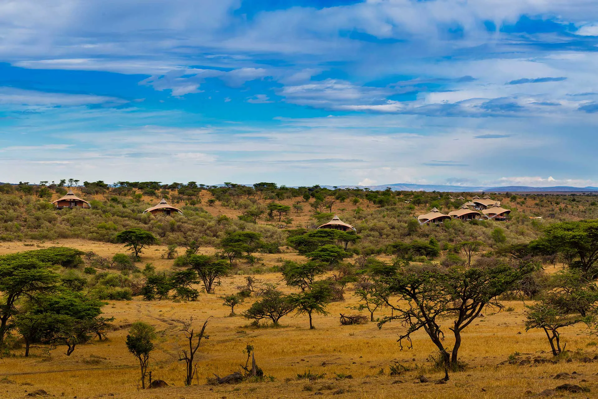 Mehrere Safari Zelte in der Savanne