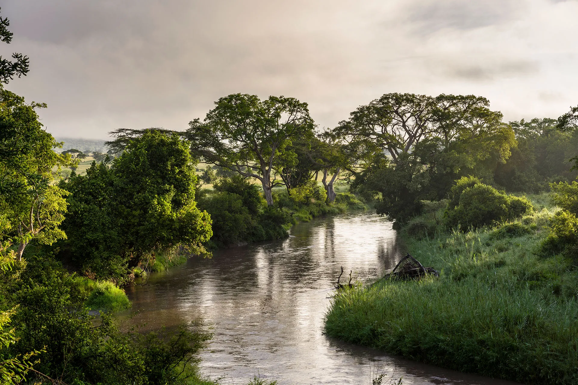Idyllischer Flusslauf durch üppige Vegetation