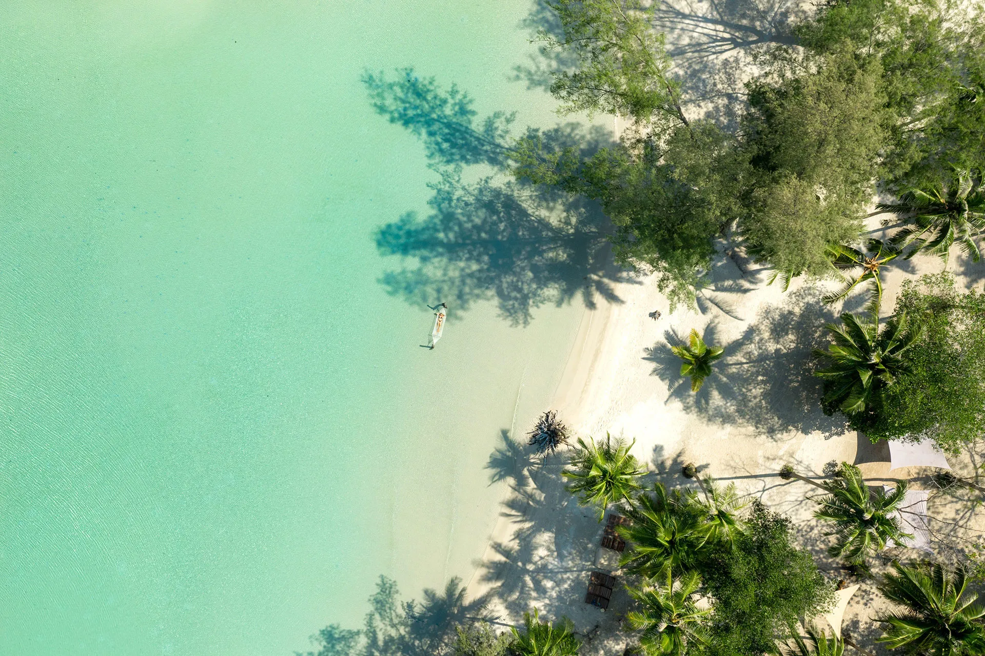 Luftaufnahme eines Strandes mit Palmen