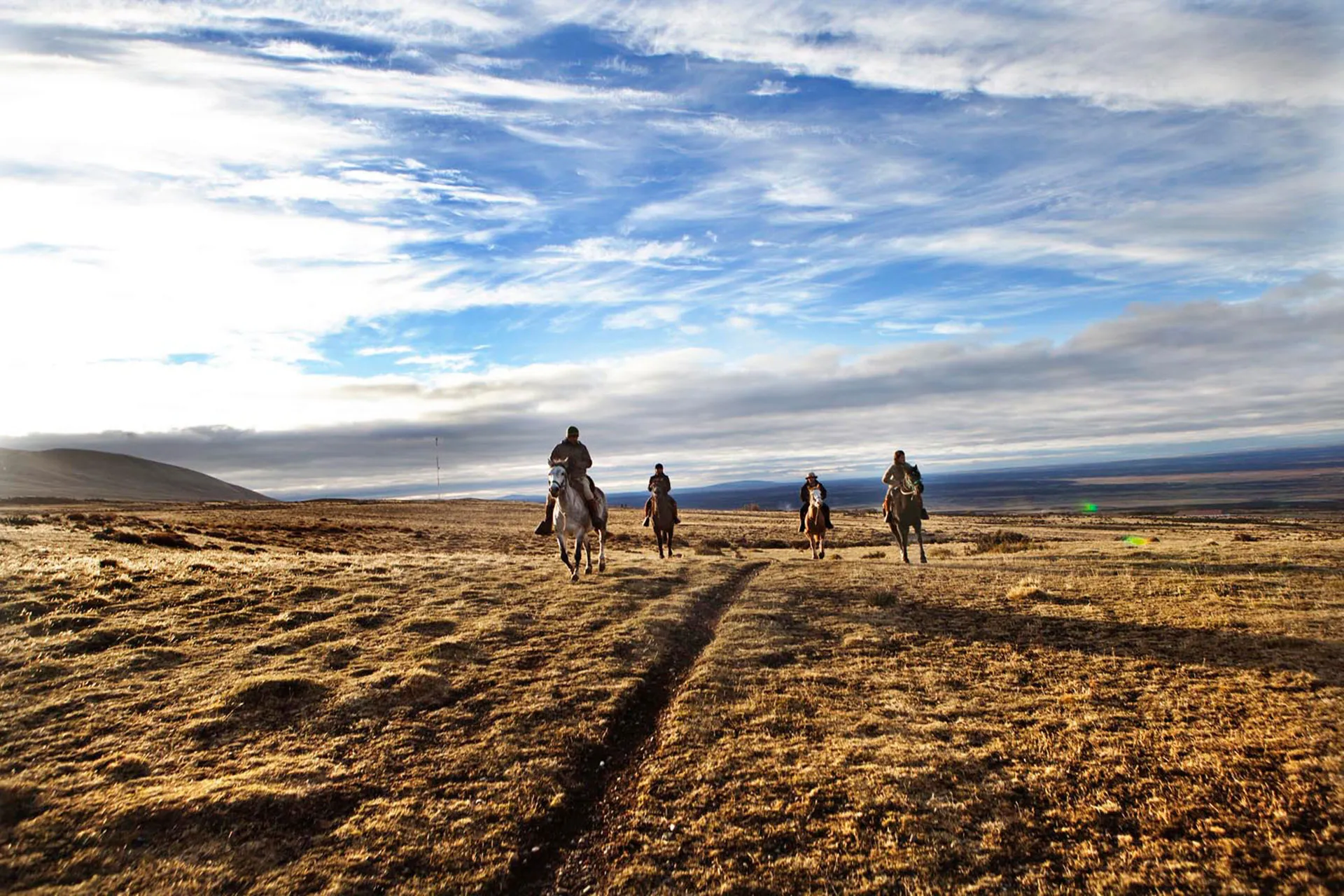 Vier Reiter galoppieren durch die Pampa