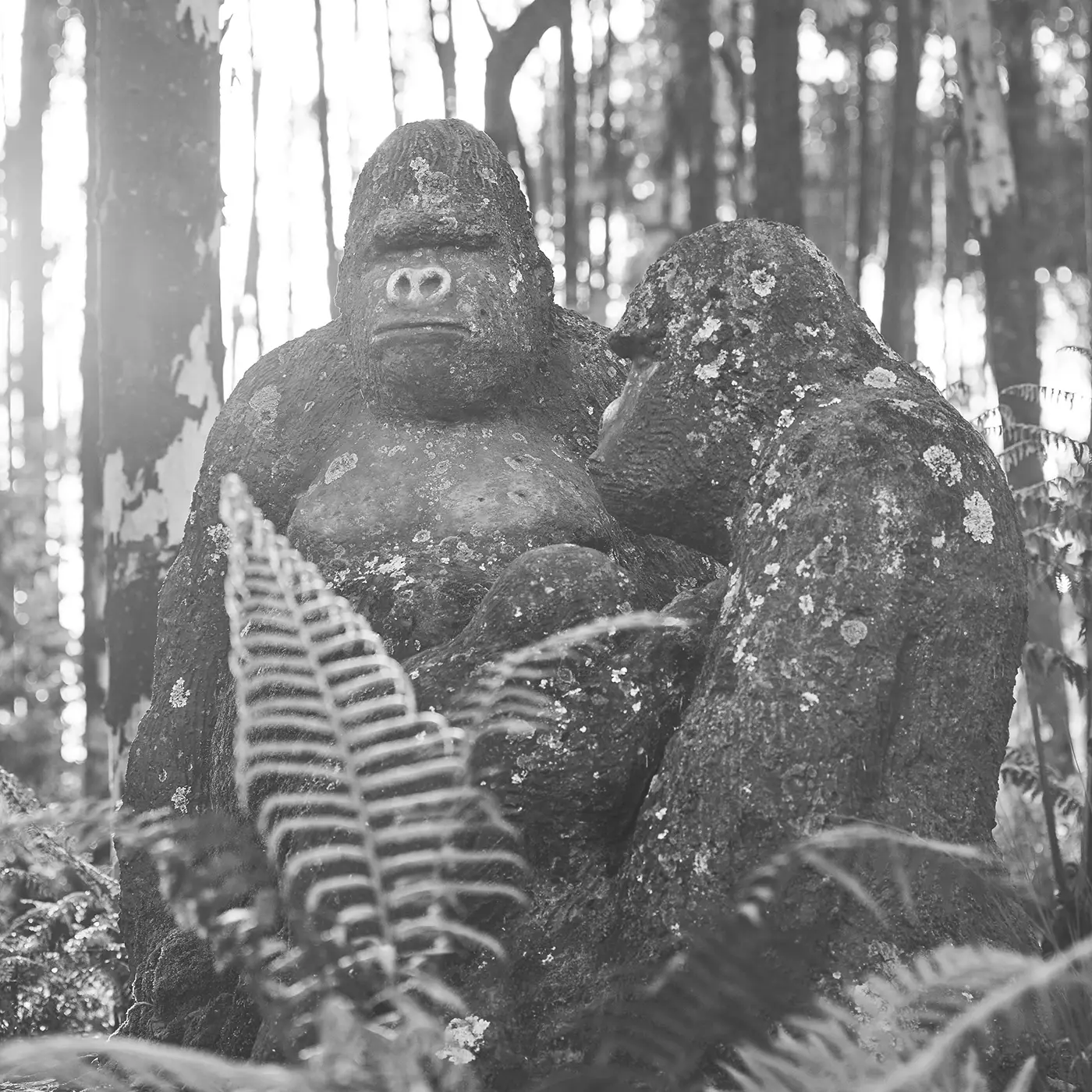 Gorilla Skulpturen aus Stein im One&Only Gorillas Nest
