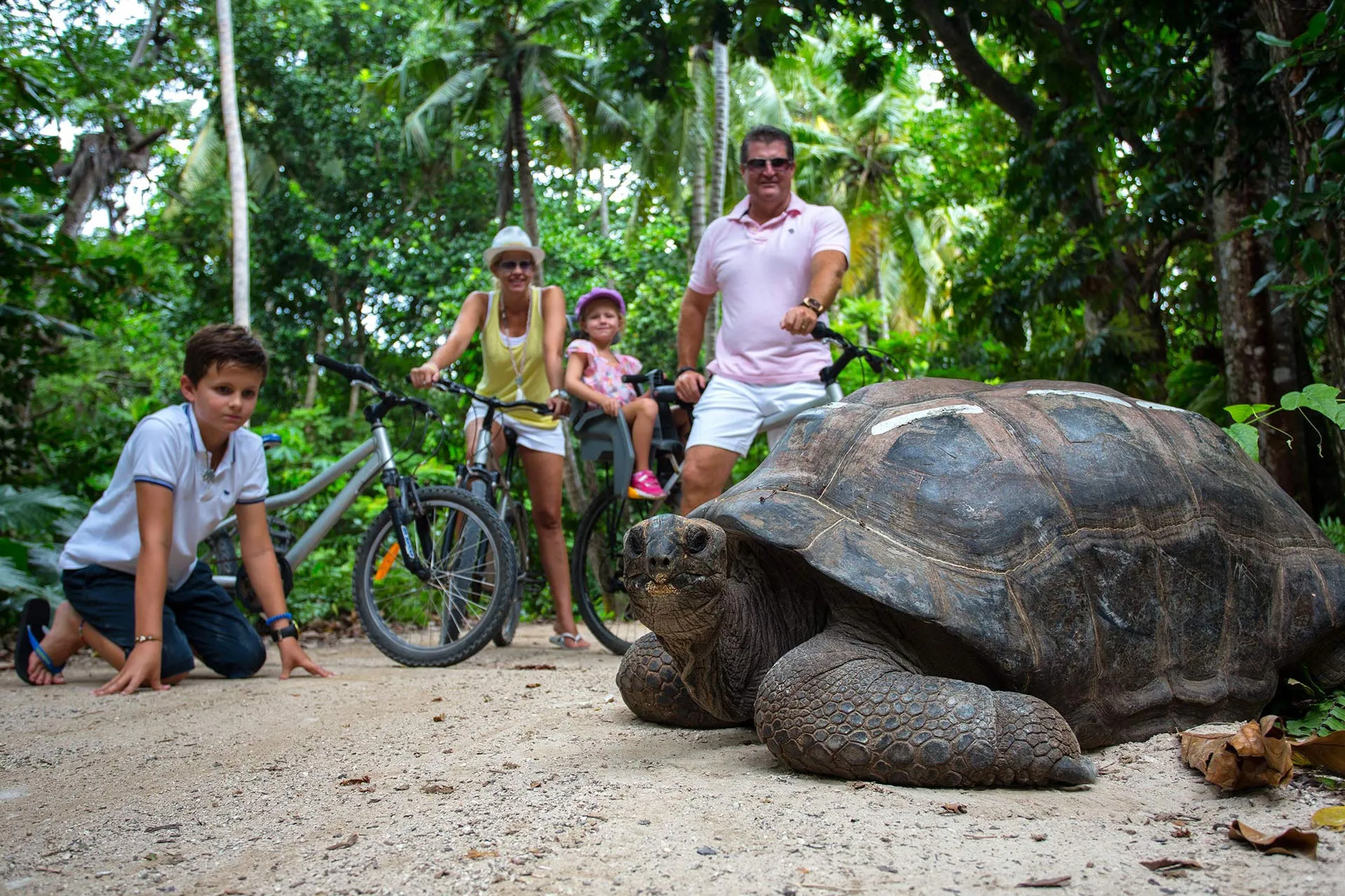 Familie beobachtet große Schildkröte