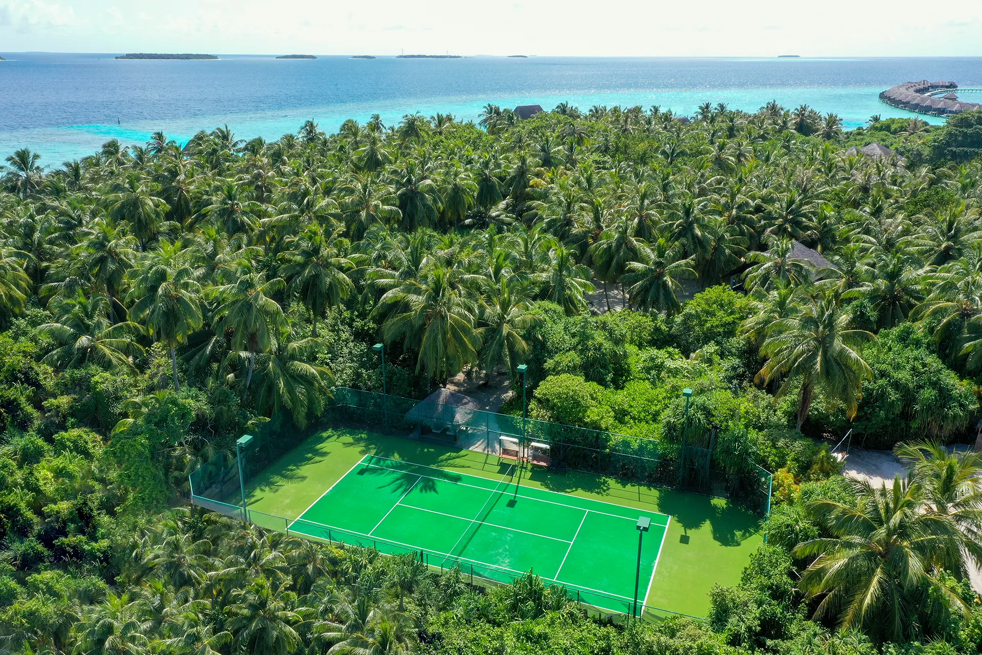 Tennisplatz zwischen vielen Palmen