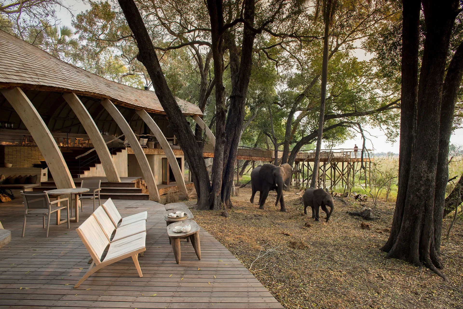 Elefanten vor Terrasse einer Lodge