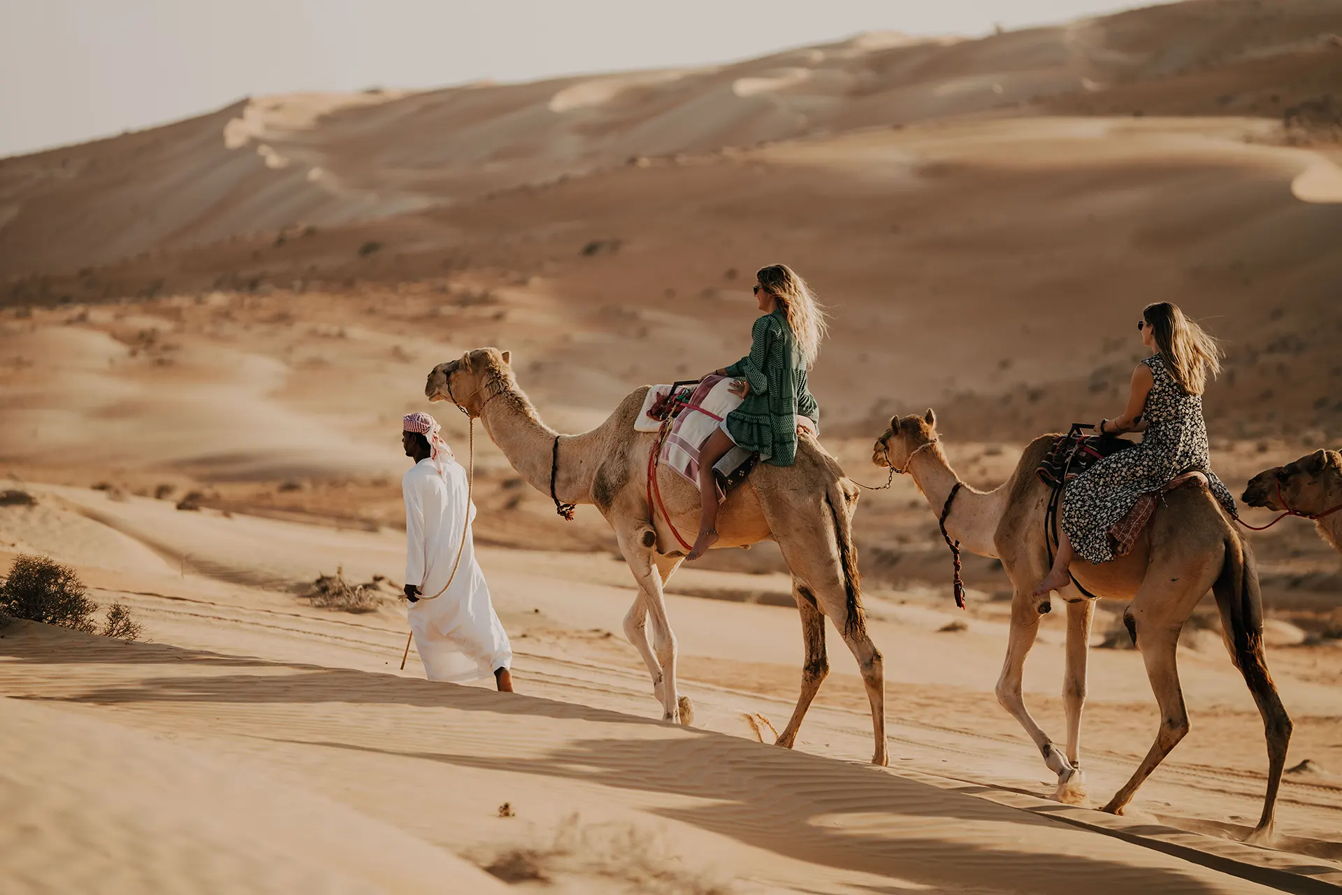 Beduine führt zwei Kamele mit Touristen