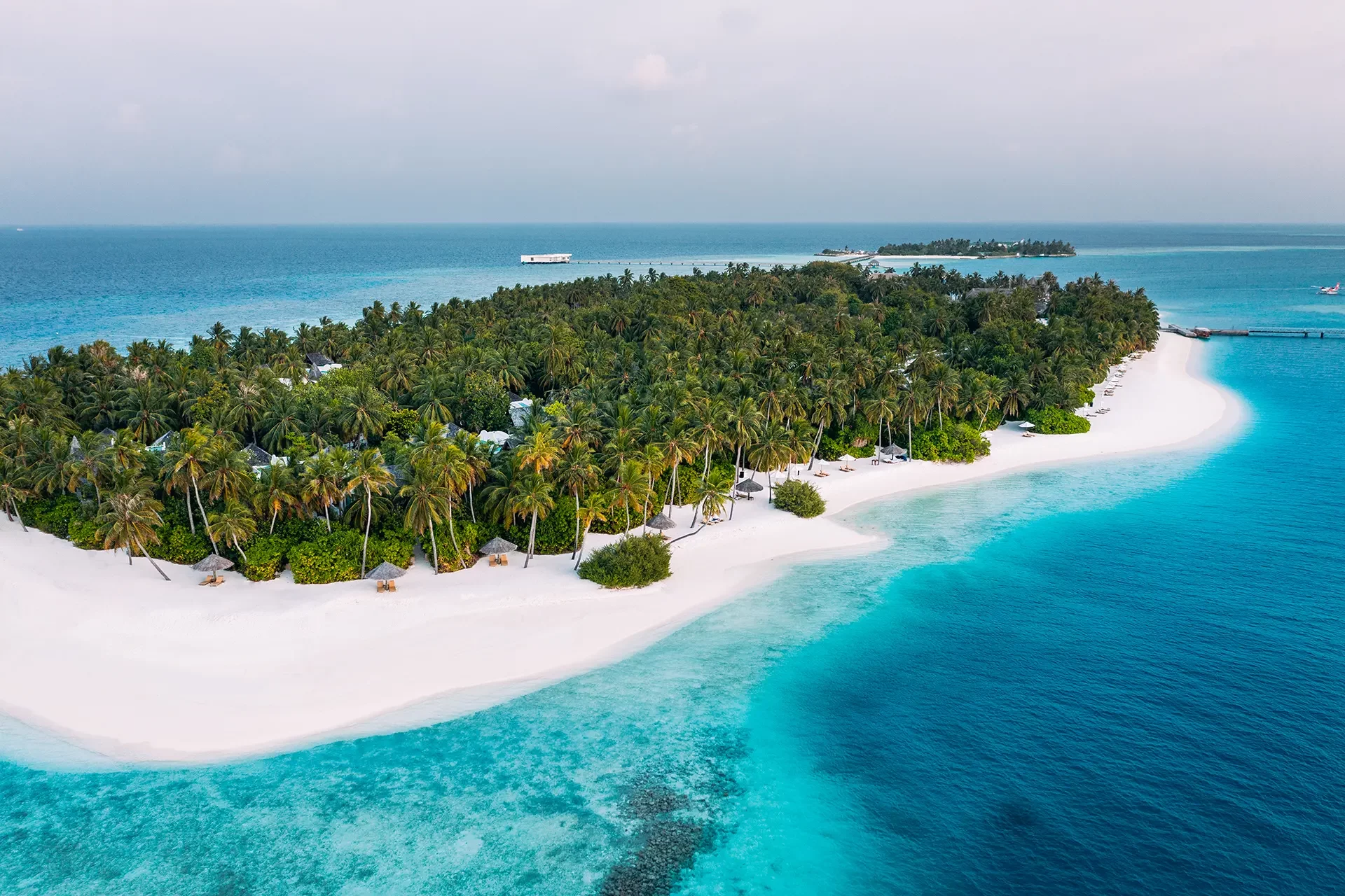 Maledivische Insel mit vielen Palmen