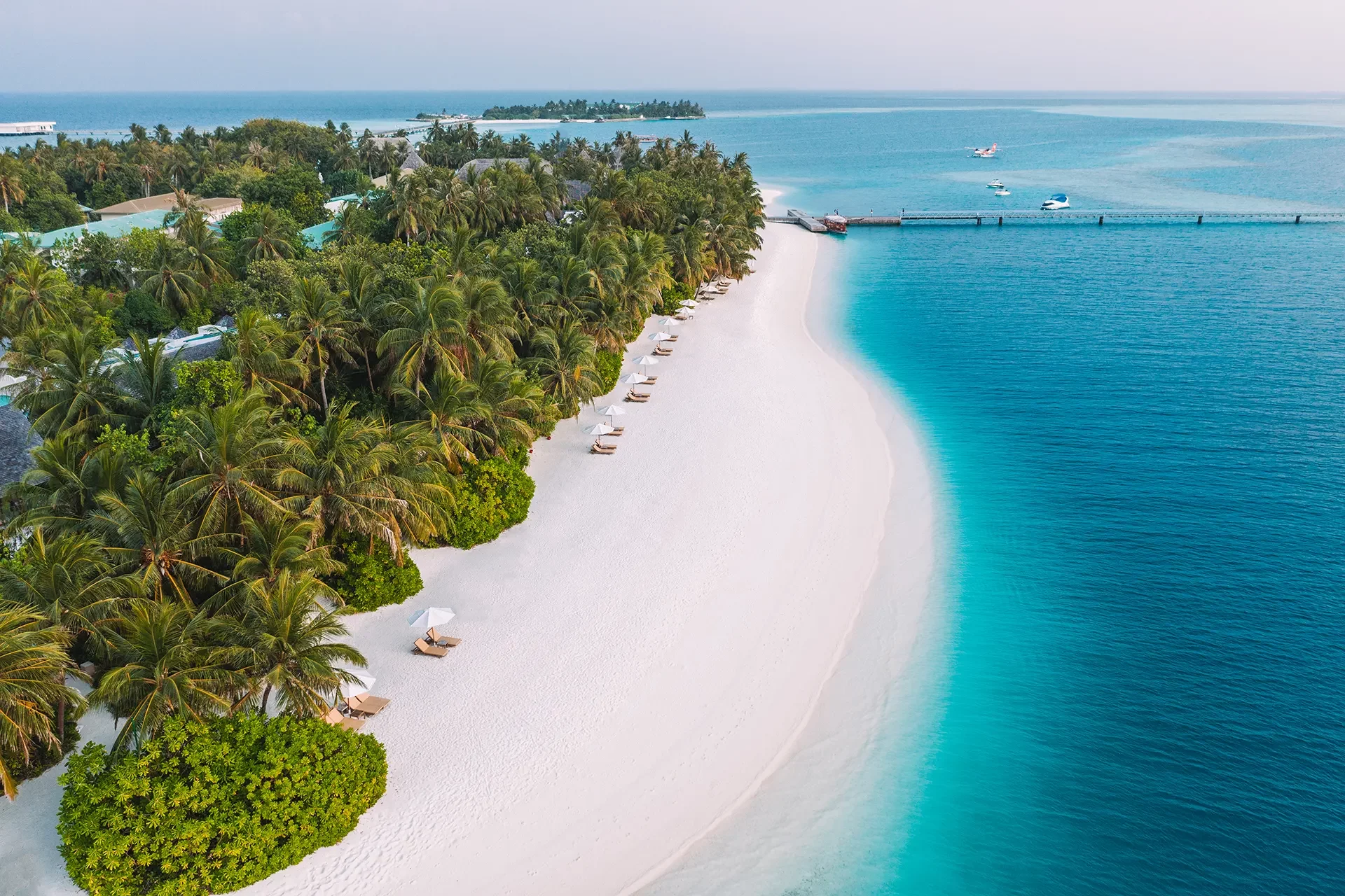 Strand einer Palmenbewachsenen Insel