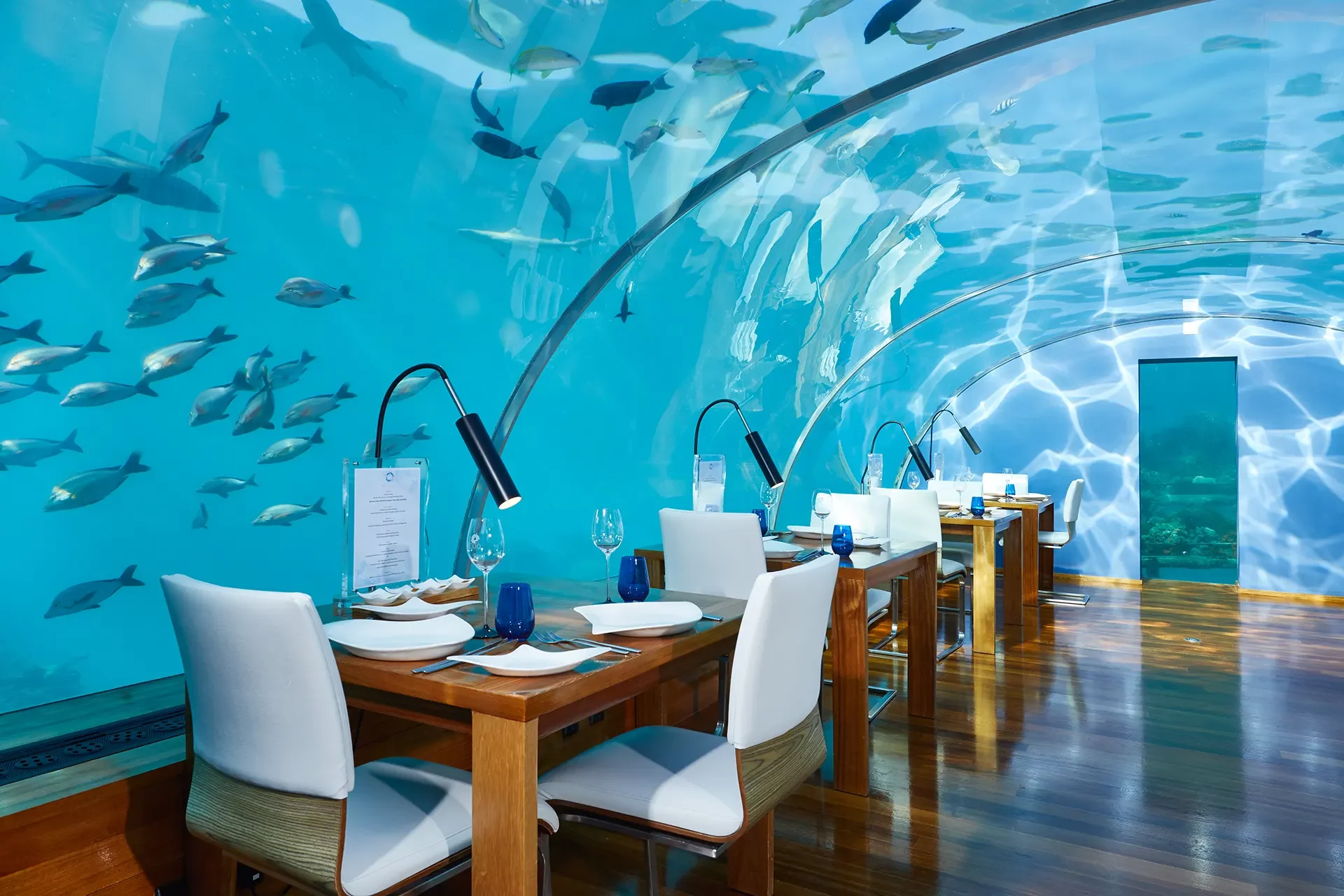 Unterwasserrestaurant mit verglaster Decke