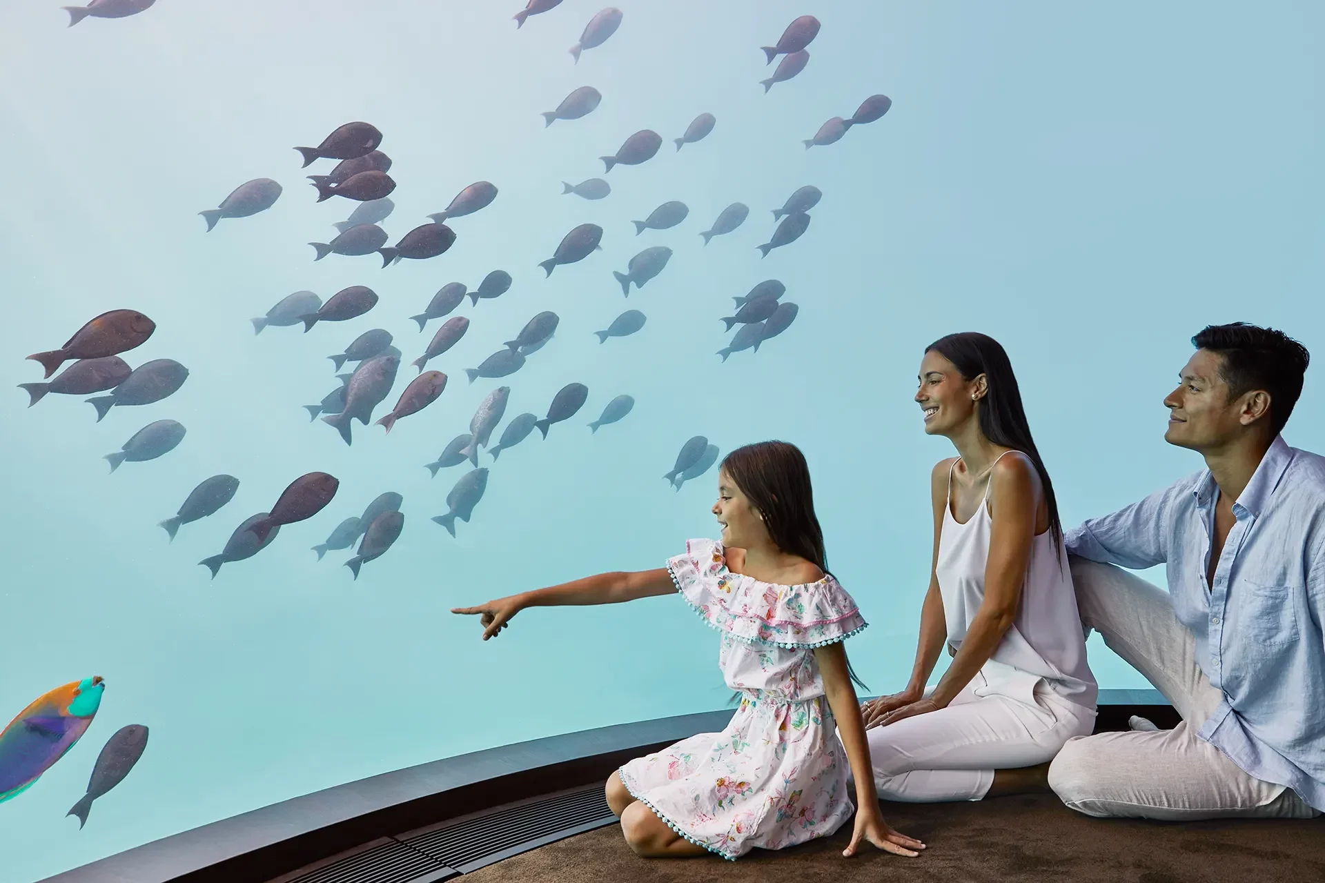 Familie vor großem Aquariumfenster