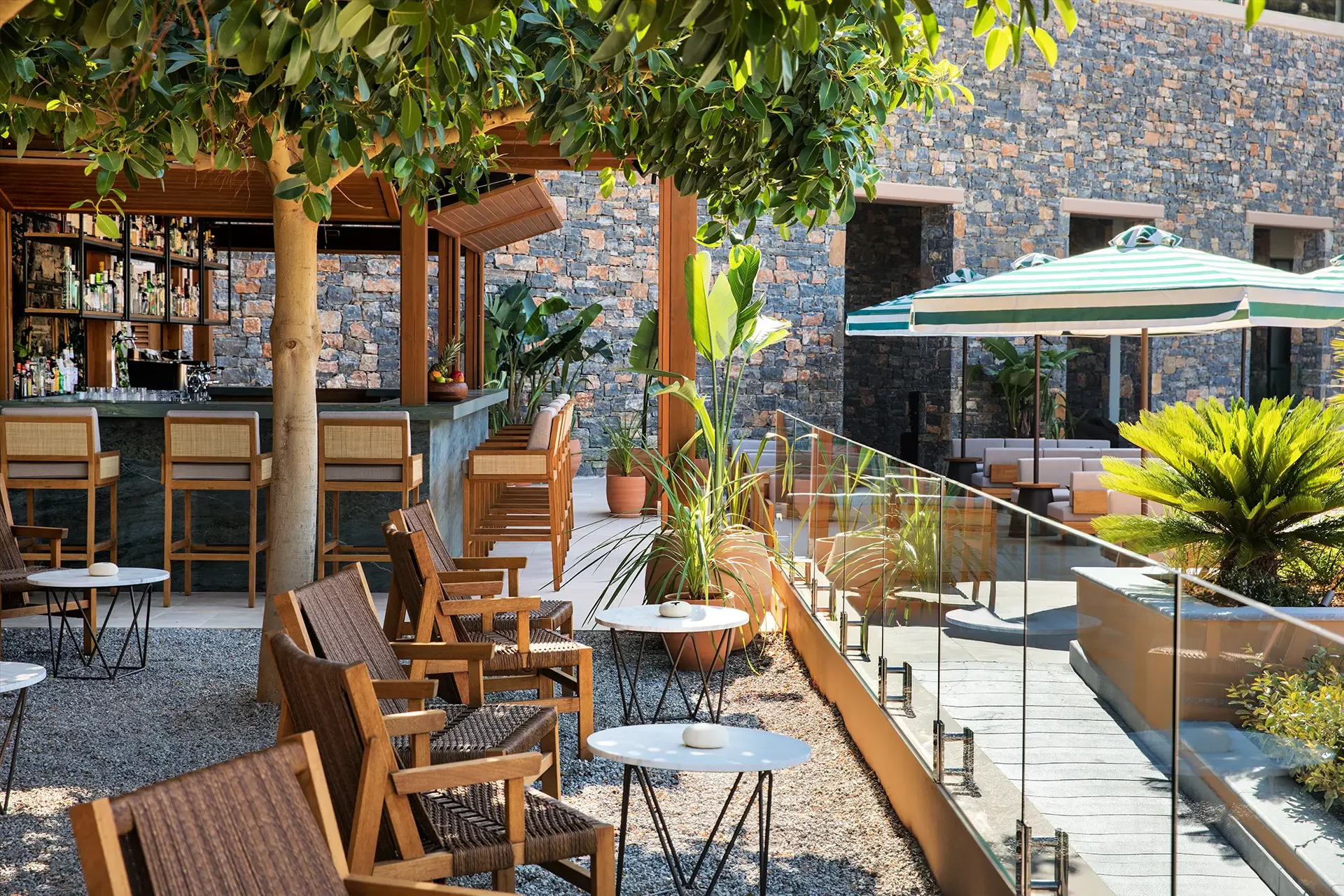 Outdoor Bar unter Olivenbäumen