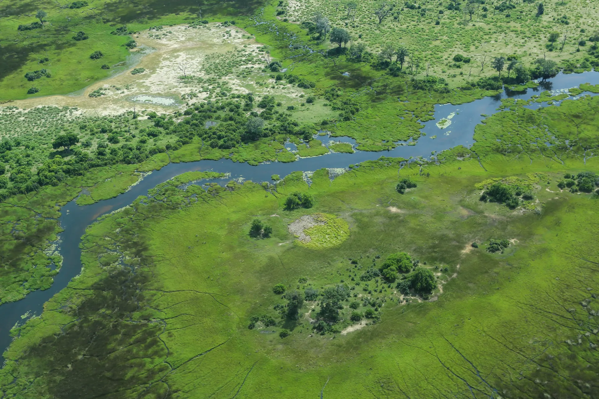 Luftaufnahme eines Flusslaufes in grüner Landschaft
