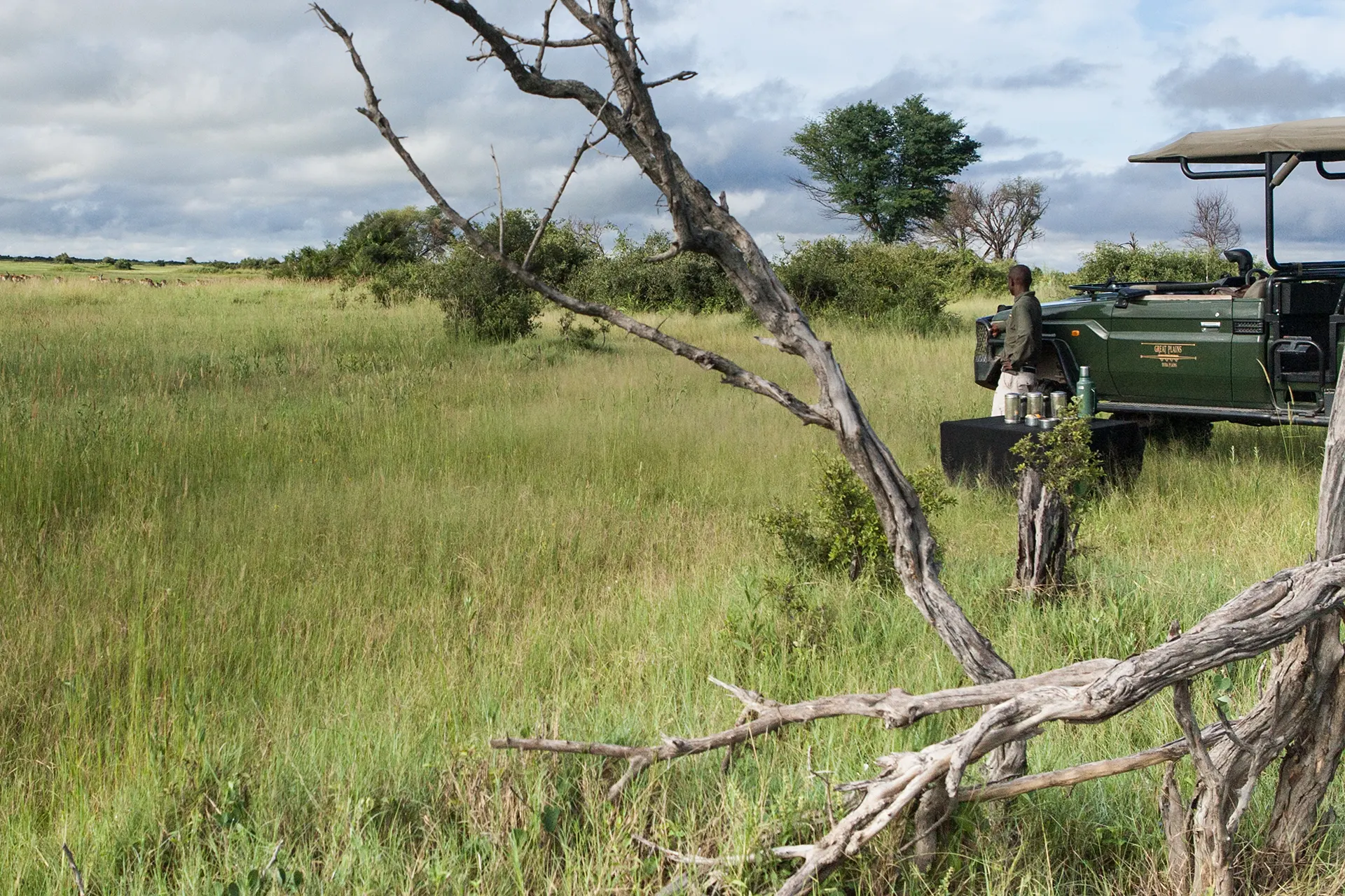 Safari Jeep steht in hohem Gras