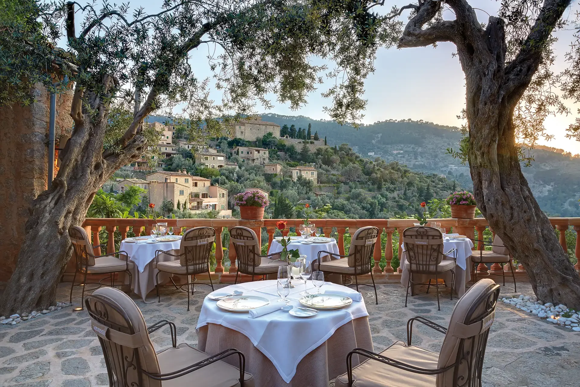 Esstische auf Terrasse unter Olivenbäumen