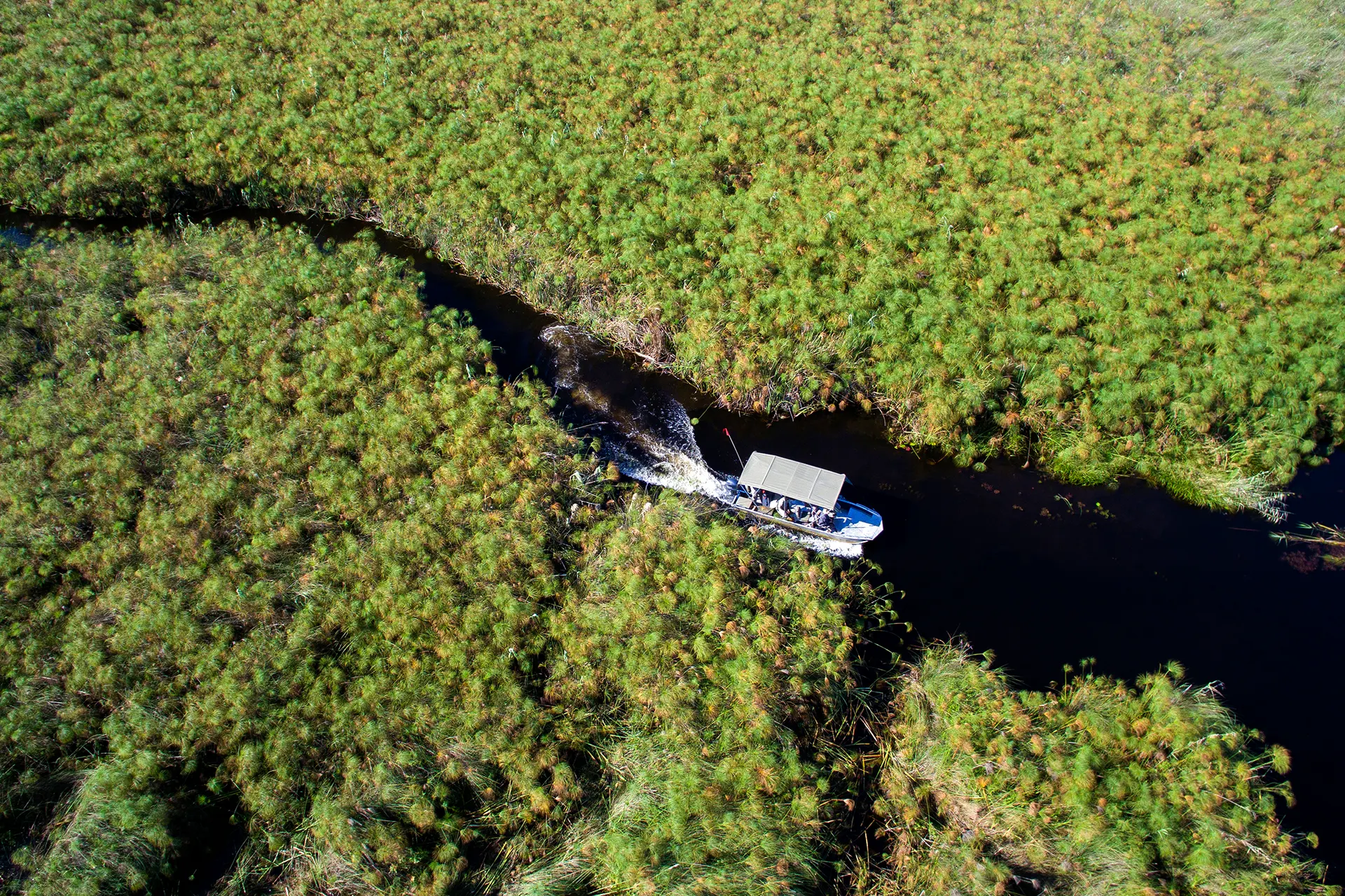 Luftaufnahme eines Bootes im Okavango Delta