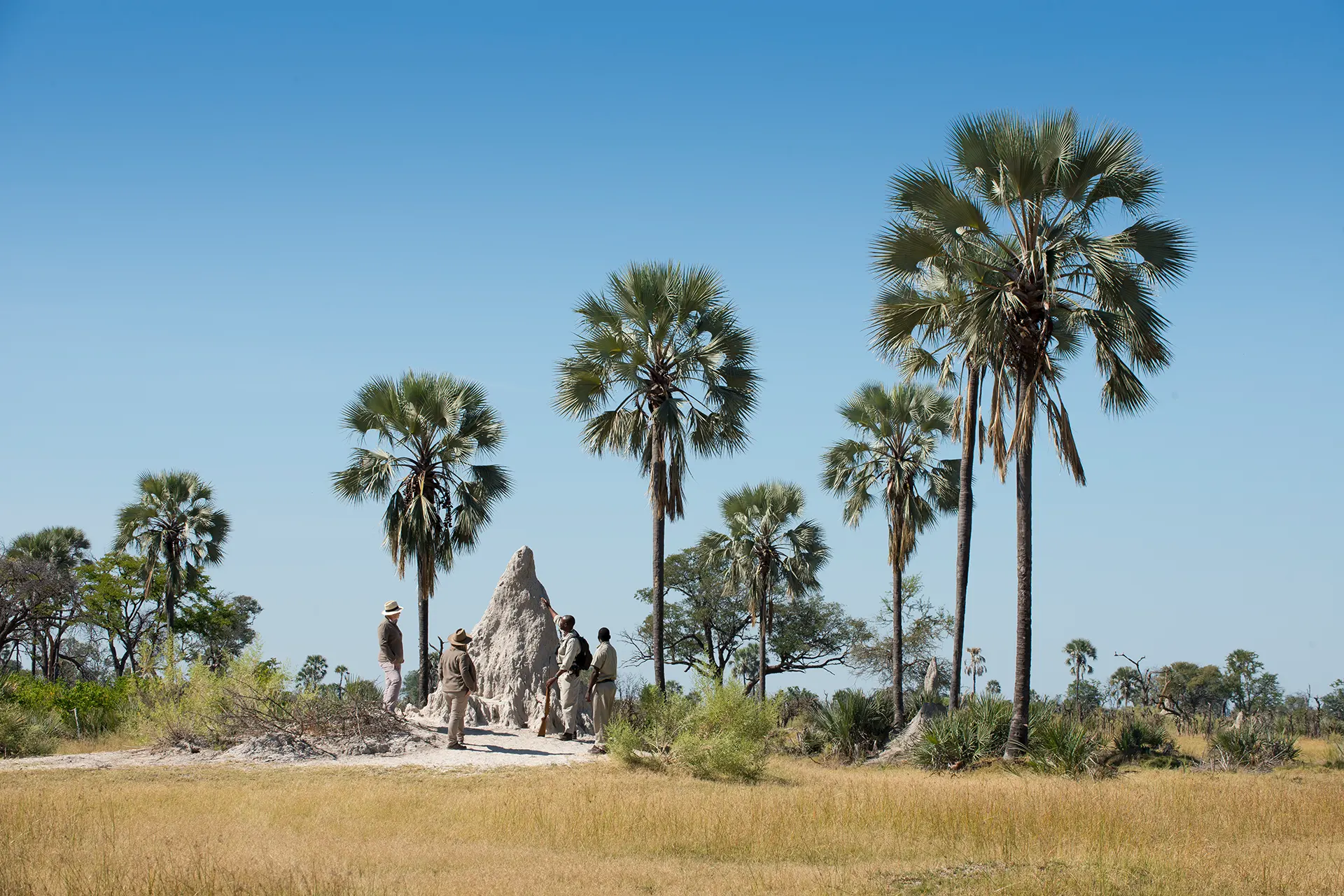 Personen auf einer Tour im Okavango Delta