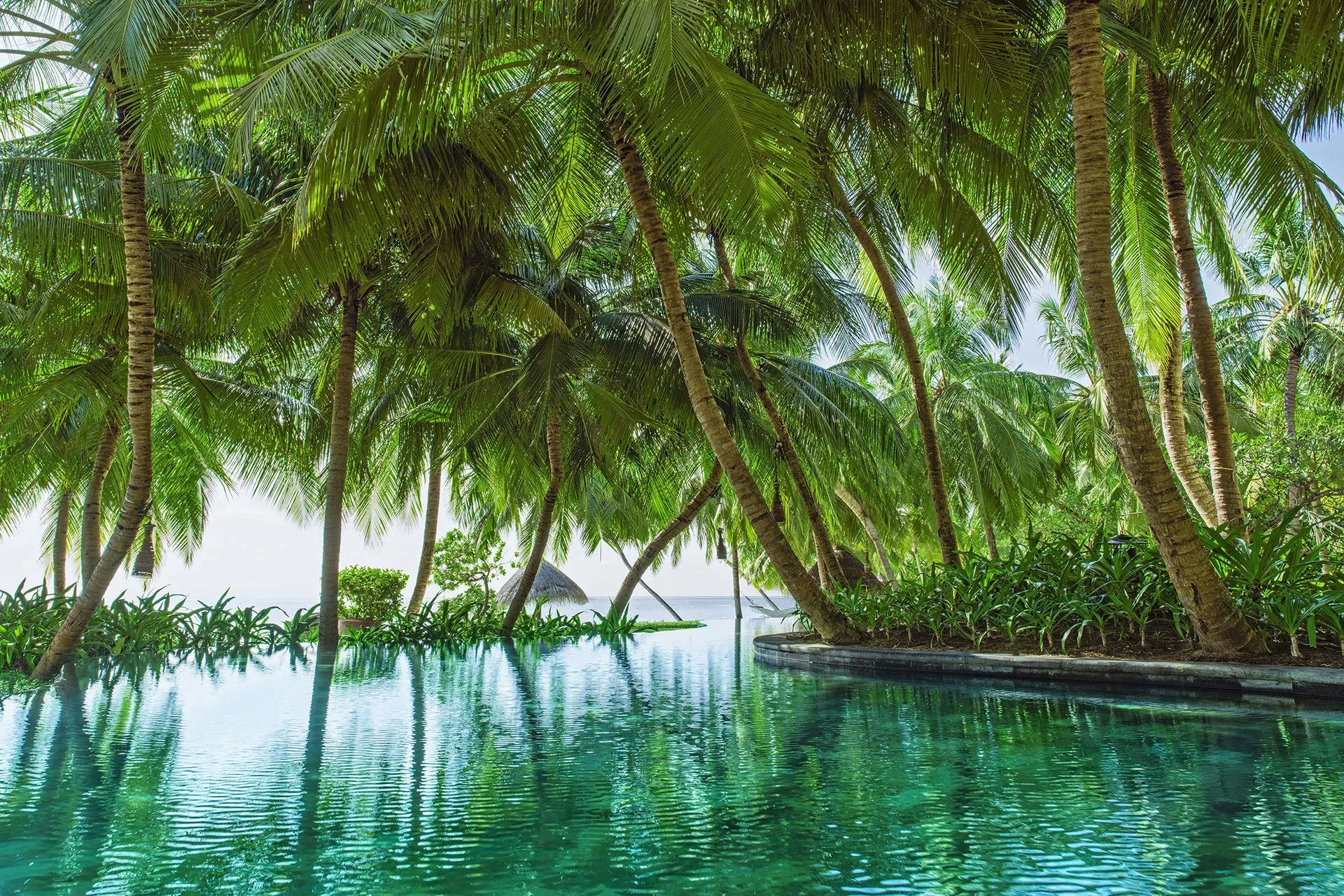 Palmenumsäumter Pool eines Hotels