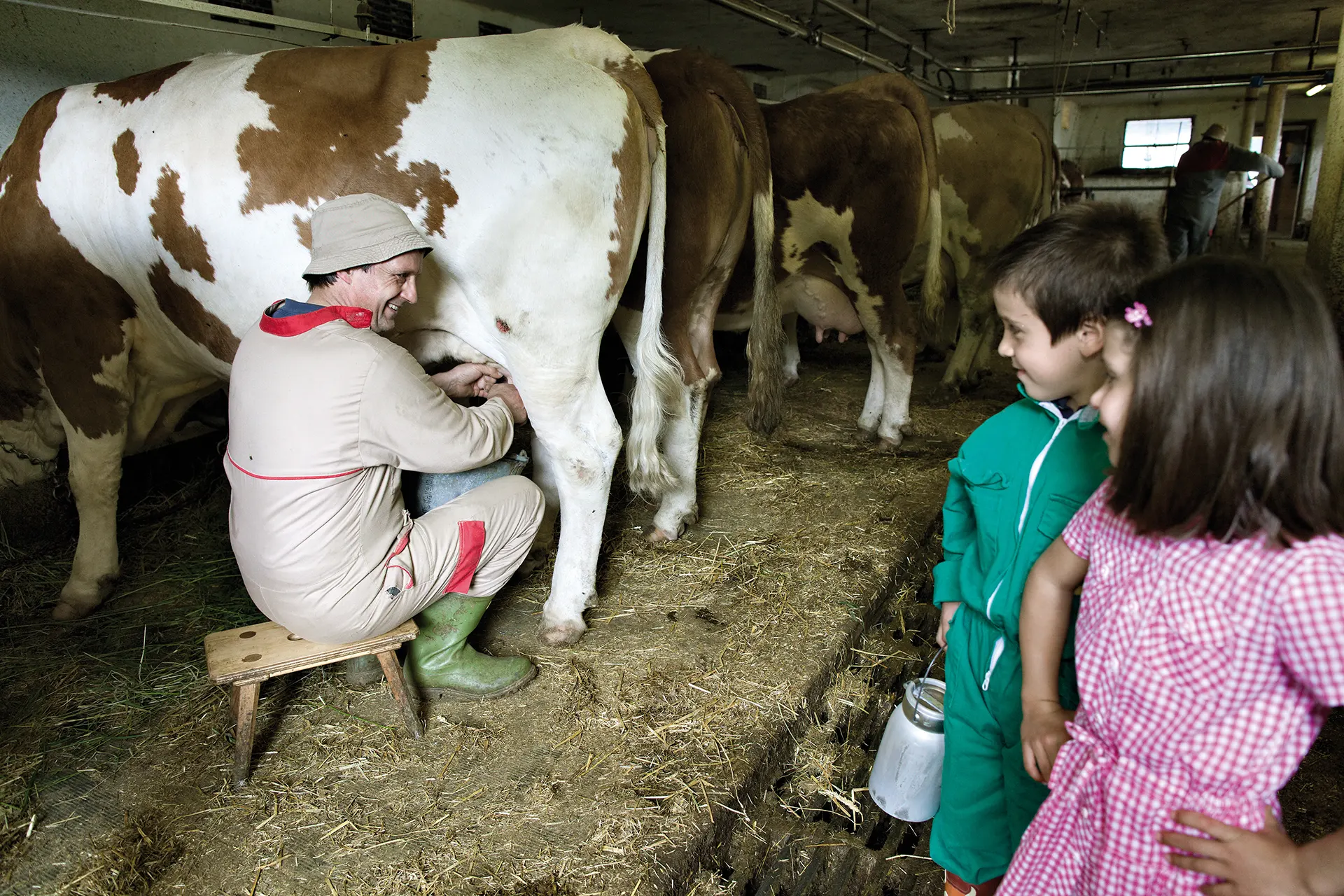 Kinder sehen einem Mann beim Kuh Melken zu