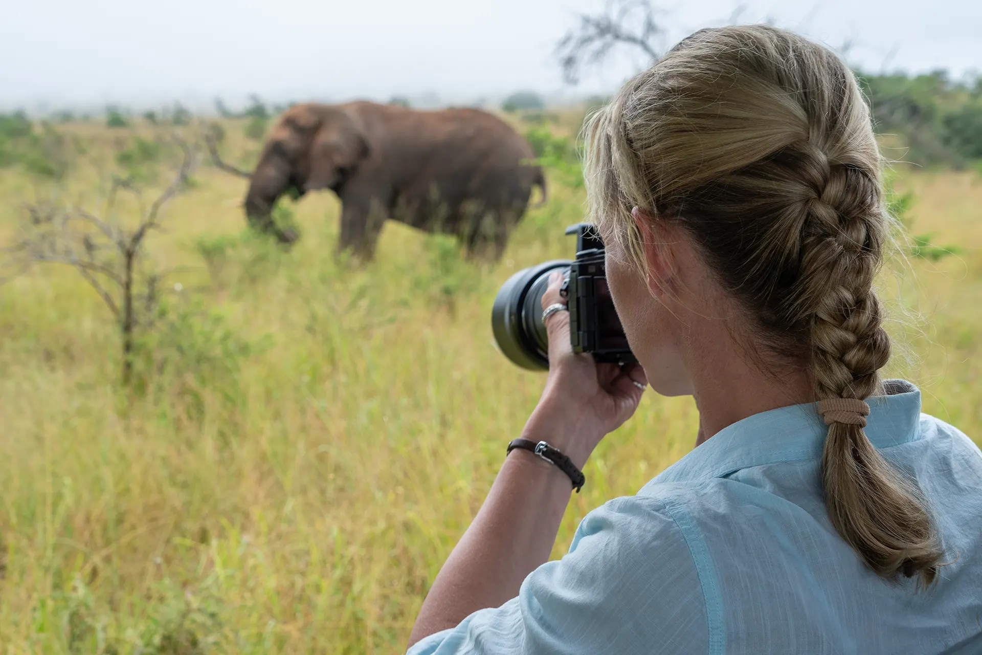 Frau fotografiert einen Elefanten