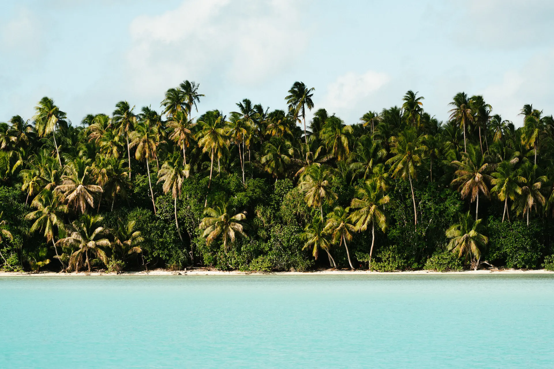 Palmengesäumter Strand vor Lagune im Südpazifik